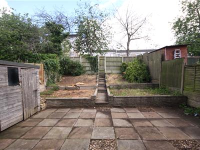 Picture 14